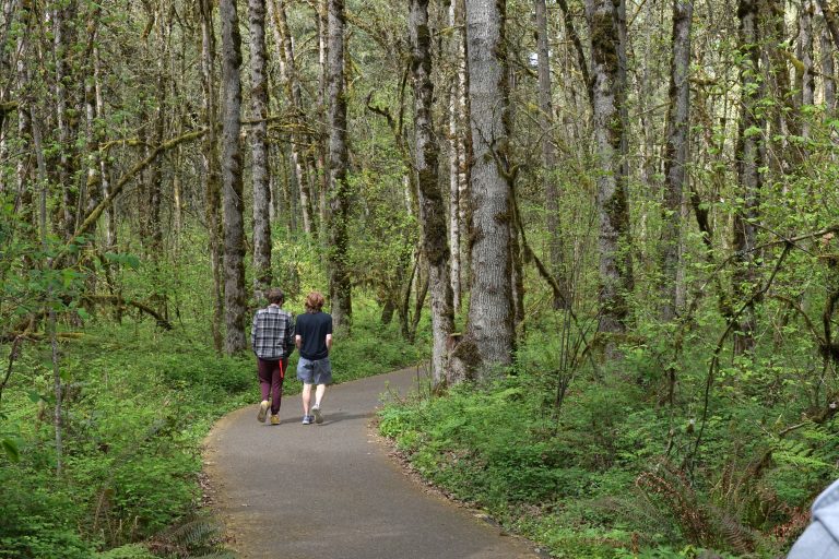 two individuals walking in the woods